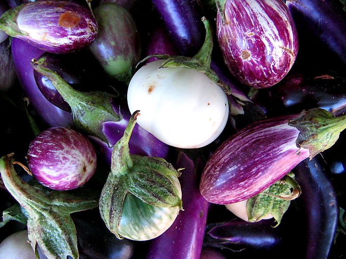 Eggplant